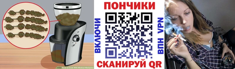 сколько стоит  Алзамай  Canna-Cookies конопля 