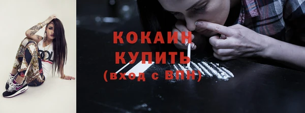 шишки Пестово