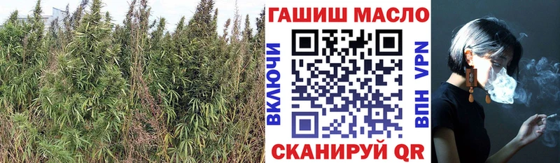 мега ONION  купить наркотик  Алзамай  Дистиллят ТГК гашишное масло 